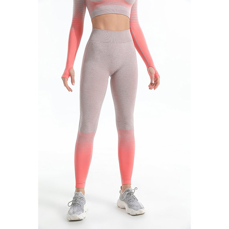 Seamless Longsleeve top and leggings 