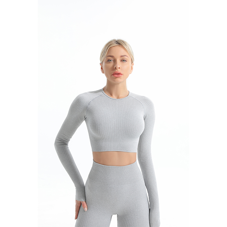 seamless ribbed longsleeve crop top