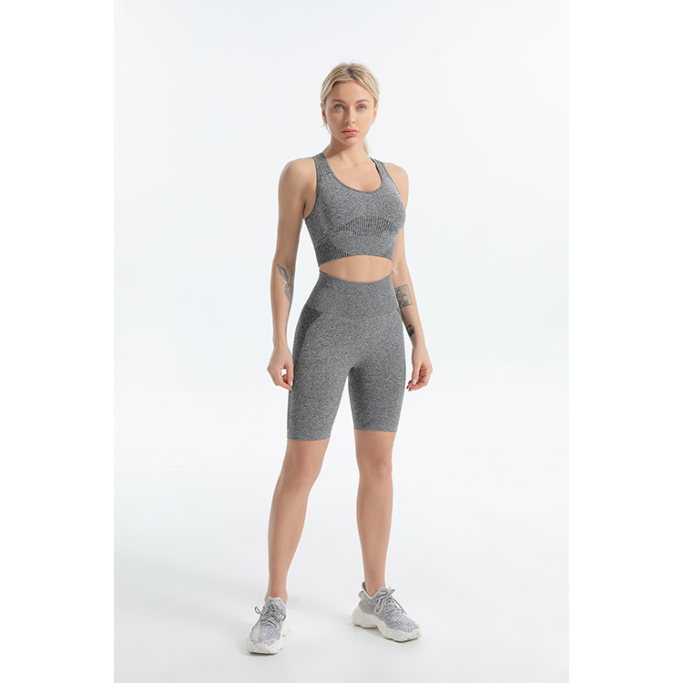 Seamless Sports Bra and Bike Shorts TW2129 - twinall