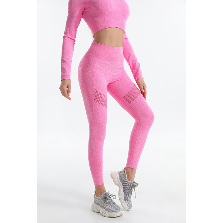 Seamless Pink Marl Leggings with Longsleeve Crop Top Sets TW2121