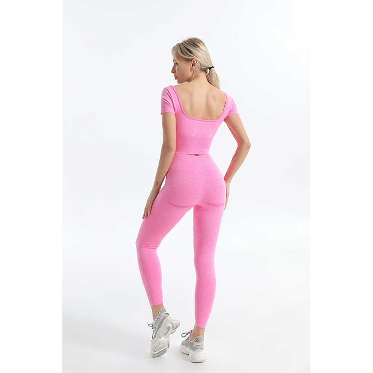 Pink Marl Seamless Short Sleeve Crop Top and Leggings Sets TW2122 - twinall