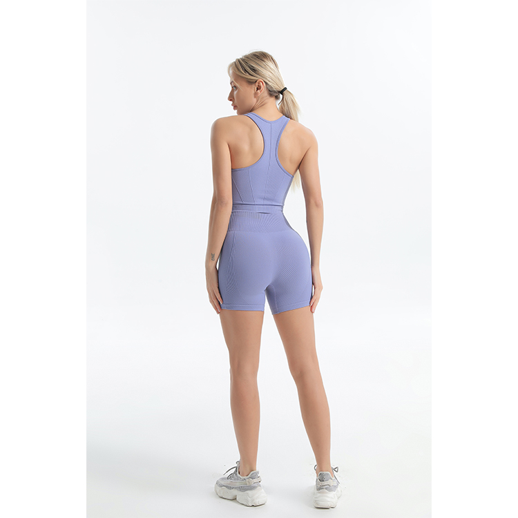 Seamless sports bra and bike shorts sets back 