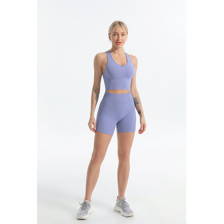 Seamless sports bra and bike shorts sets