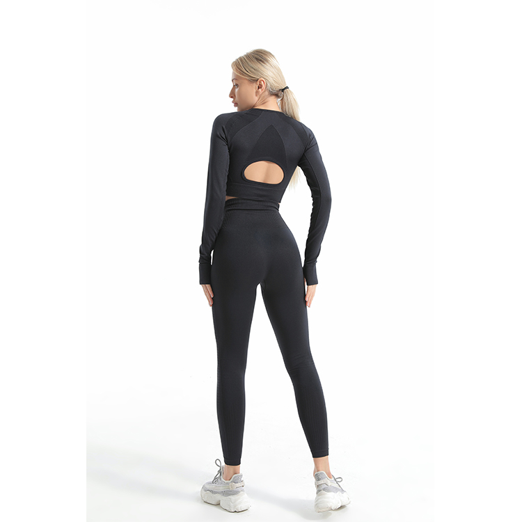 Black Seamless Longsleeve Crop Top and Legings - twinall