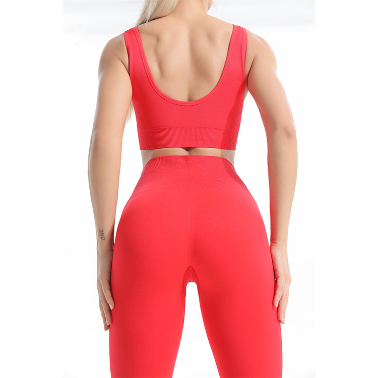 seamelss sports bra back